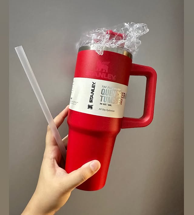 Stanley Tumblers 30 OZ (900ml)